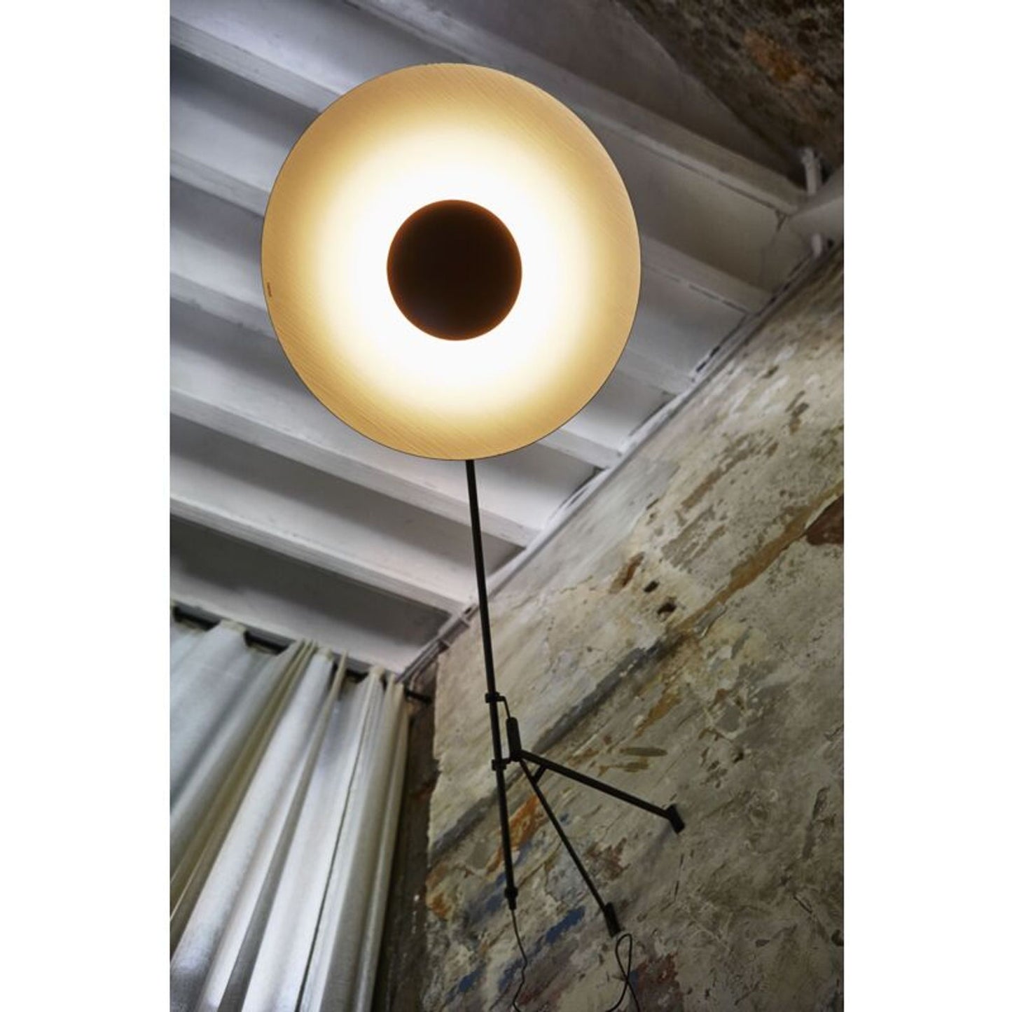 Ginger A Large Hardwired Large LED Wall Light