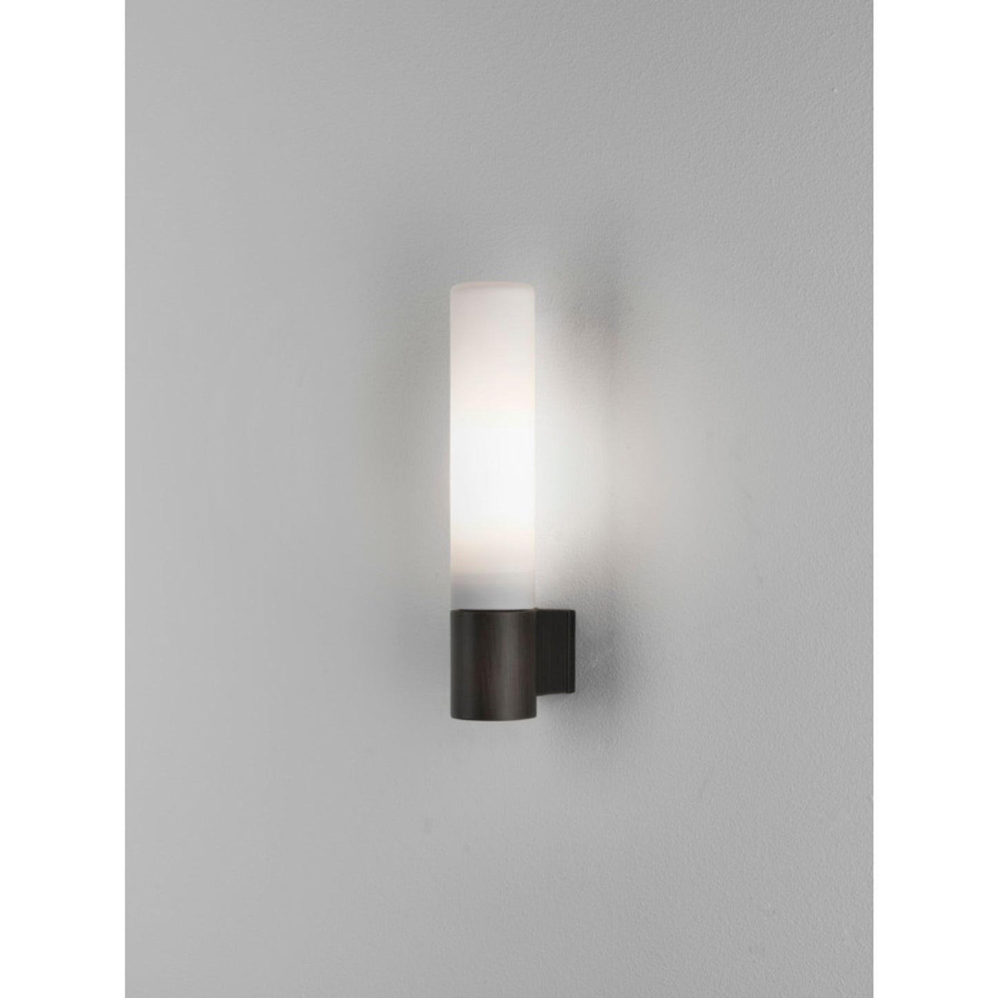 Bari Frosted Glass Wall Light with Tube Base