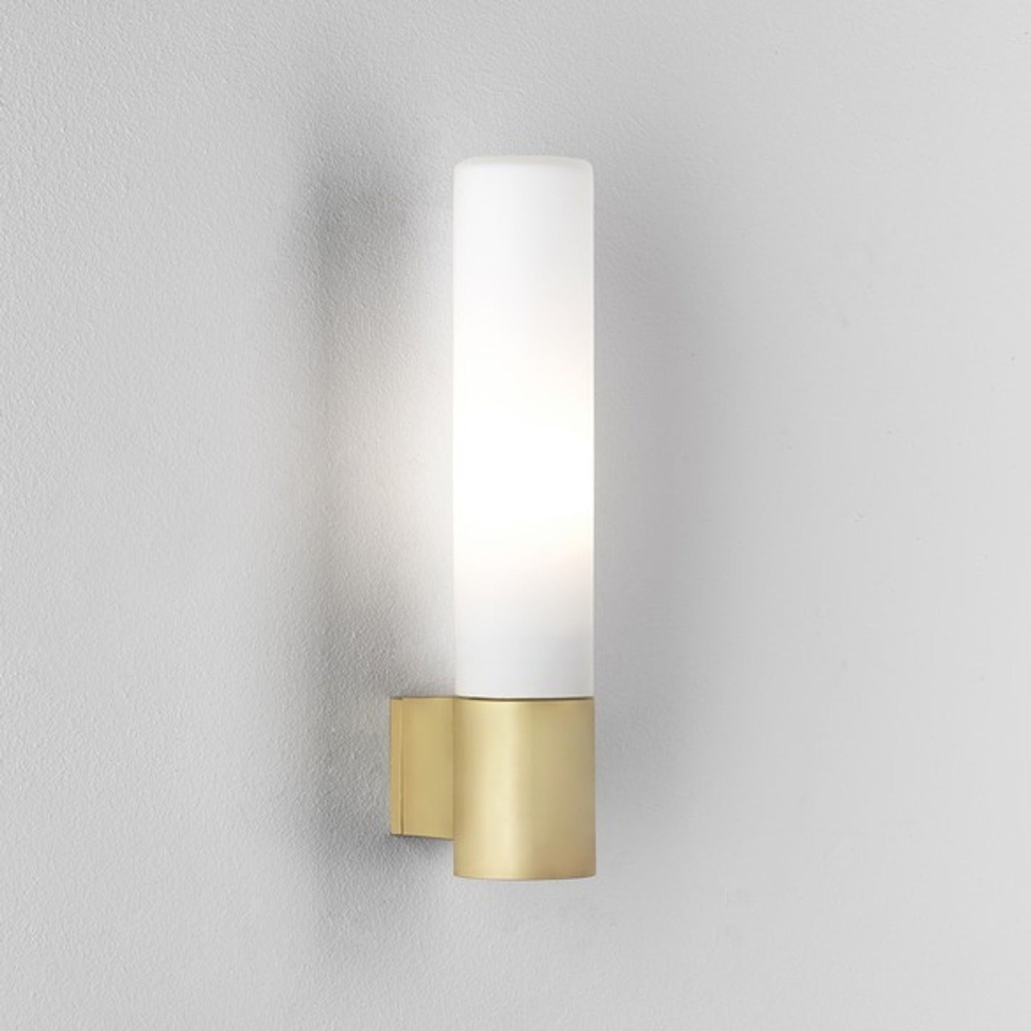 Bari Frosted Glass Wall Light with Tube Base