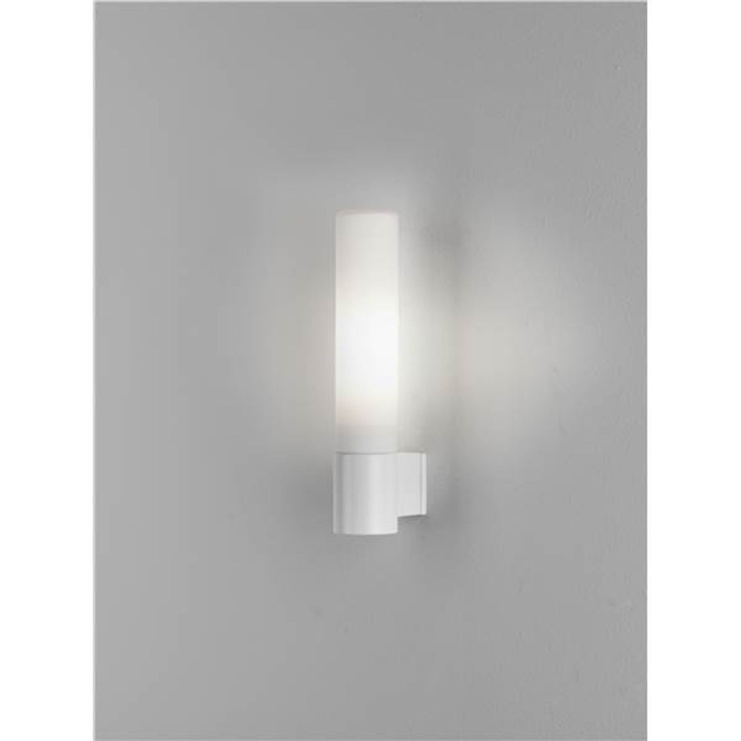 Bari Frosted Glass Wall Light with Tube Base