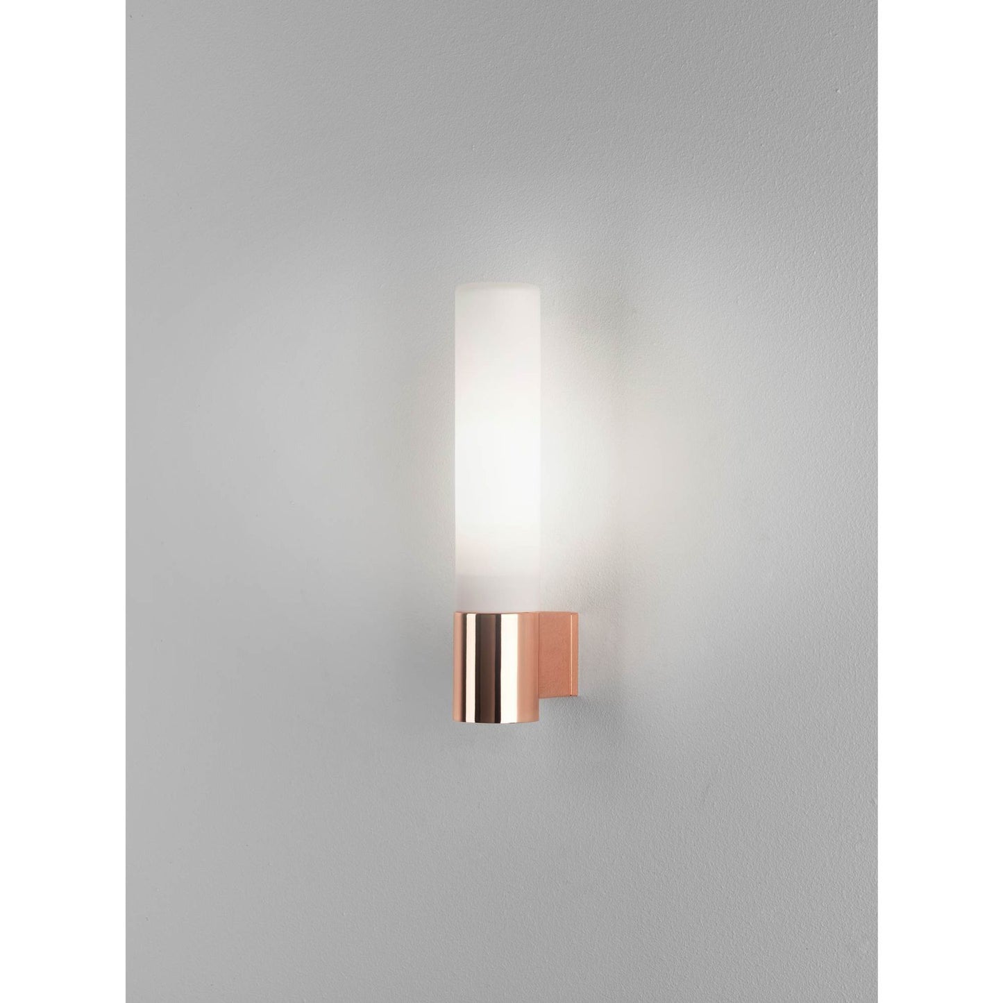 Bari Frosted Glass Wall Light with Tube Base