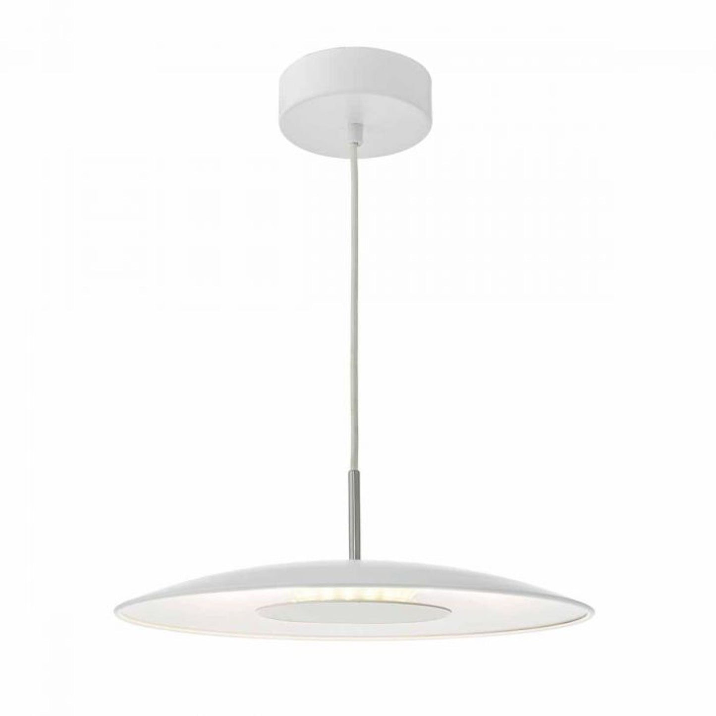 Enoch Single LED Pendant with Stainless Steel Detailing