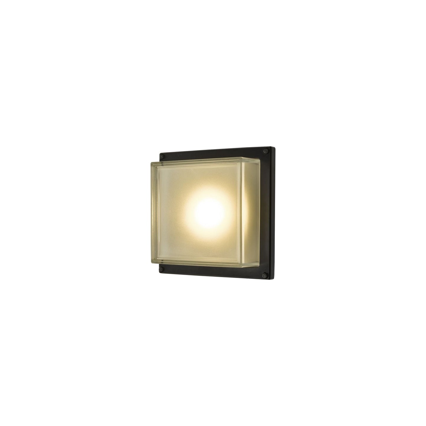 Aquilina LED Wall Light Matt Black IP44