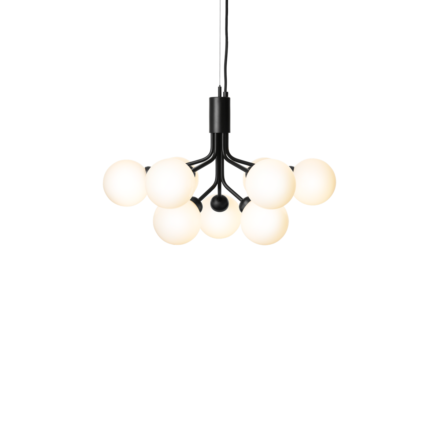 Apiales 9-Light Chandelier with Glass Shade