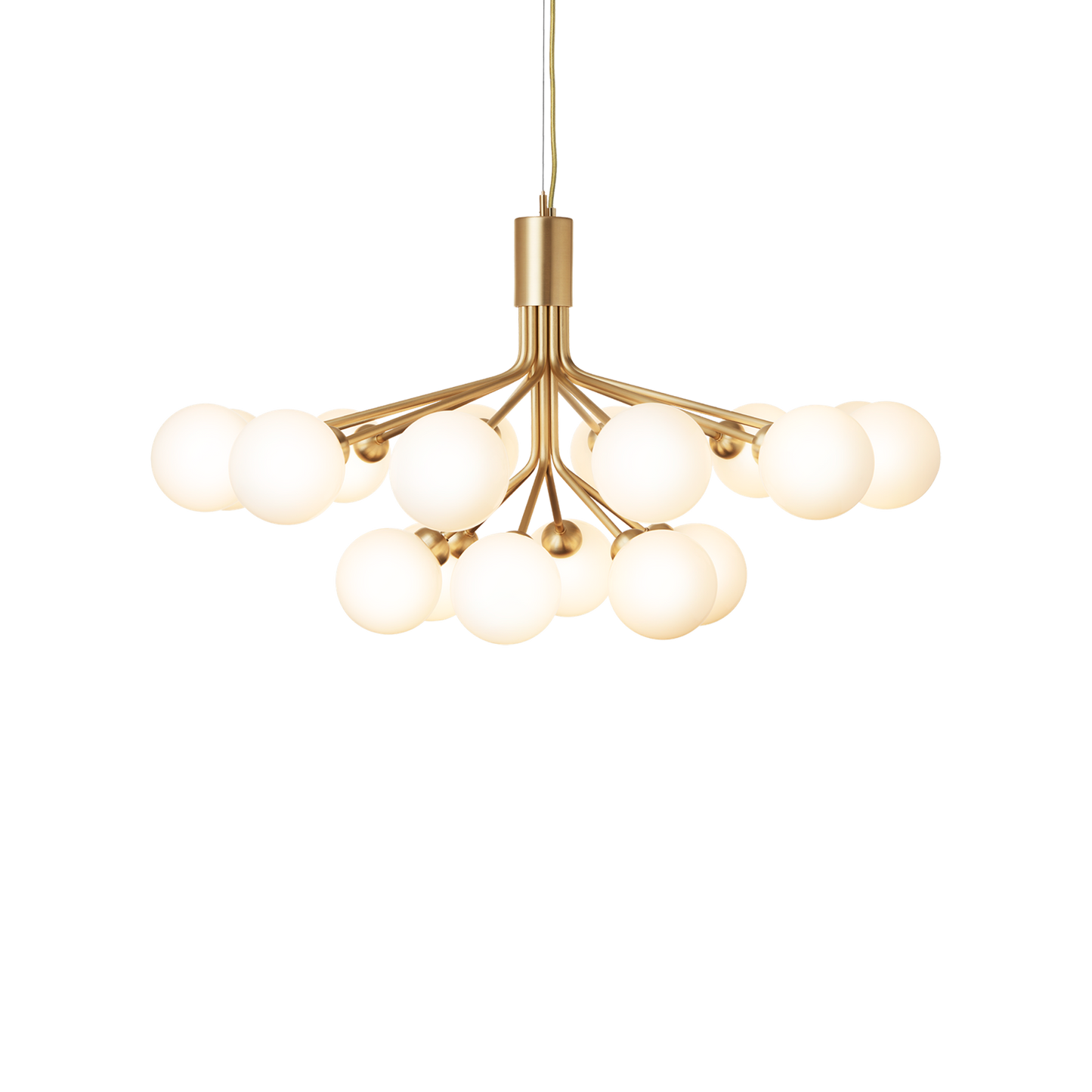 Apiales 18-Light Chandelier with Glass Shade