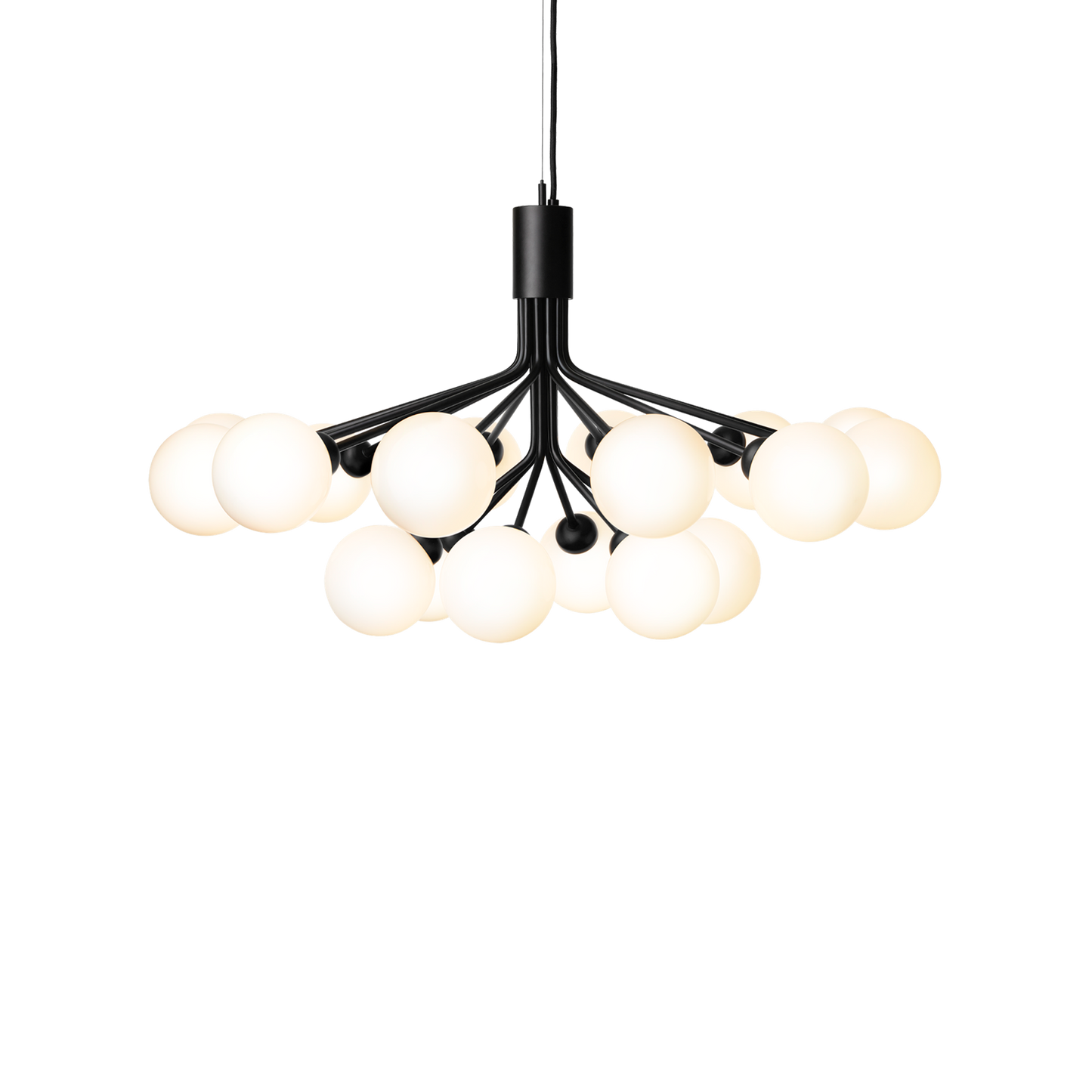 Apiales 18-Light Chandelier with Glass Shade