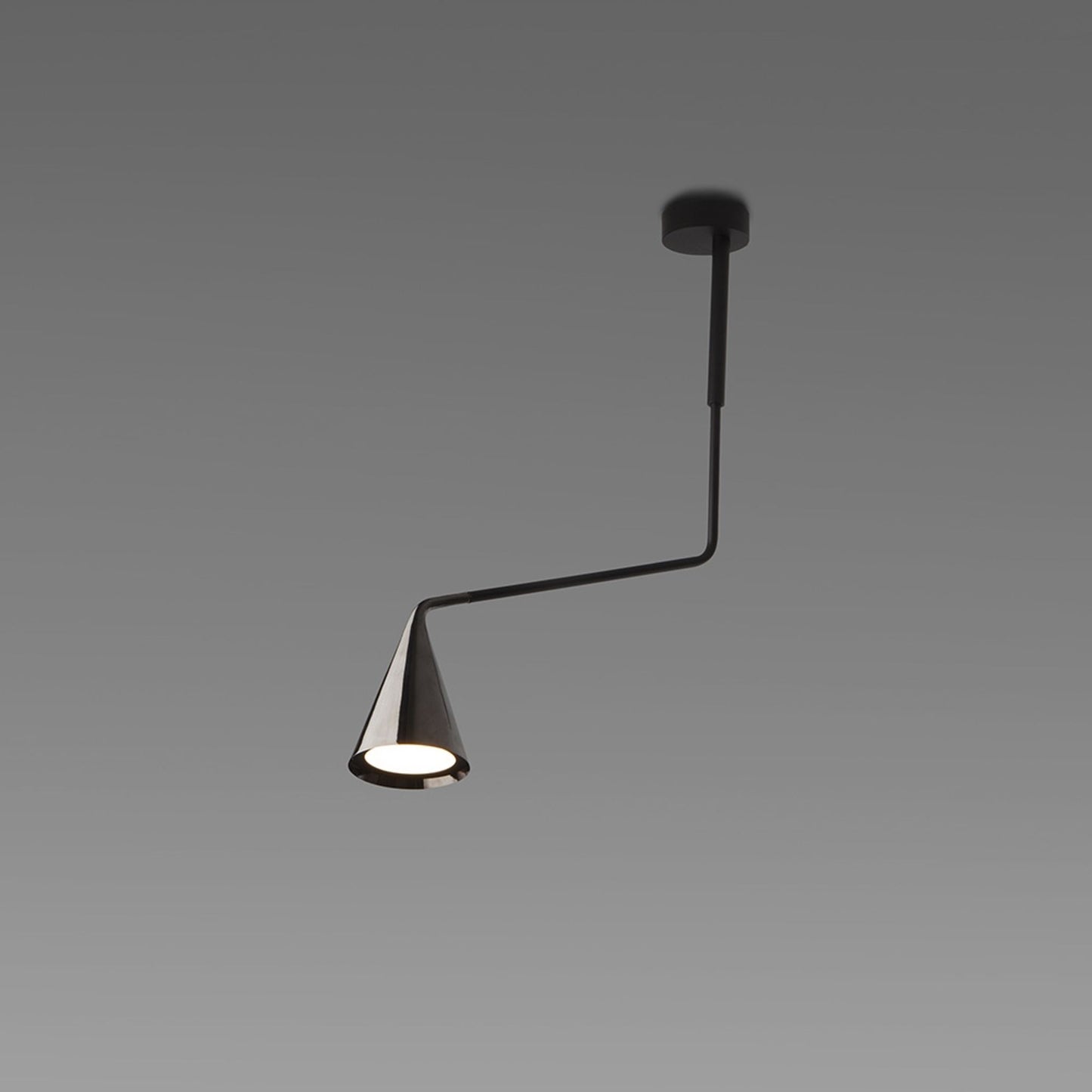 Gordon 11A Ceiling Light with Adjustable Arm