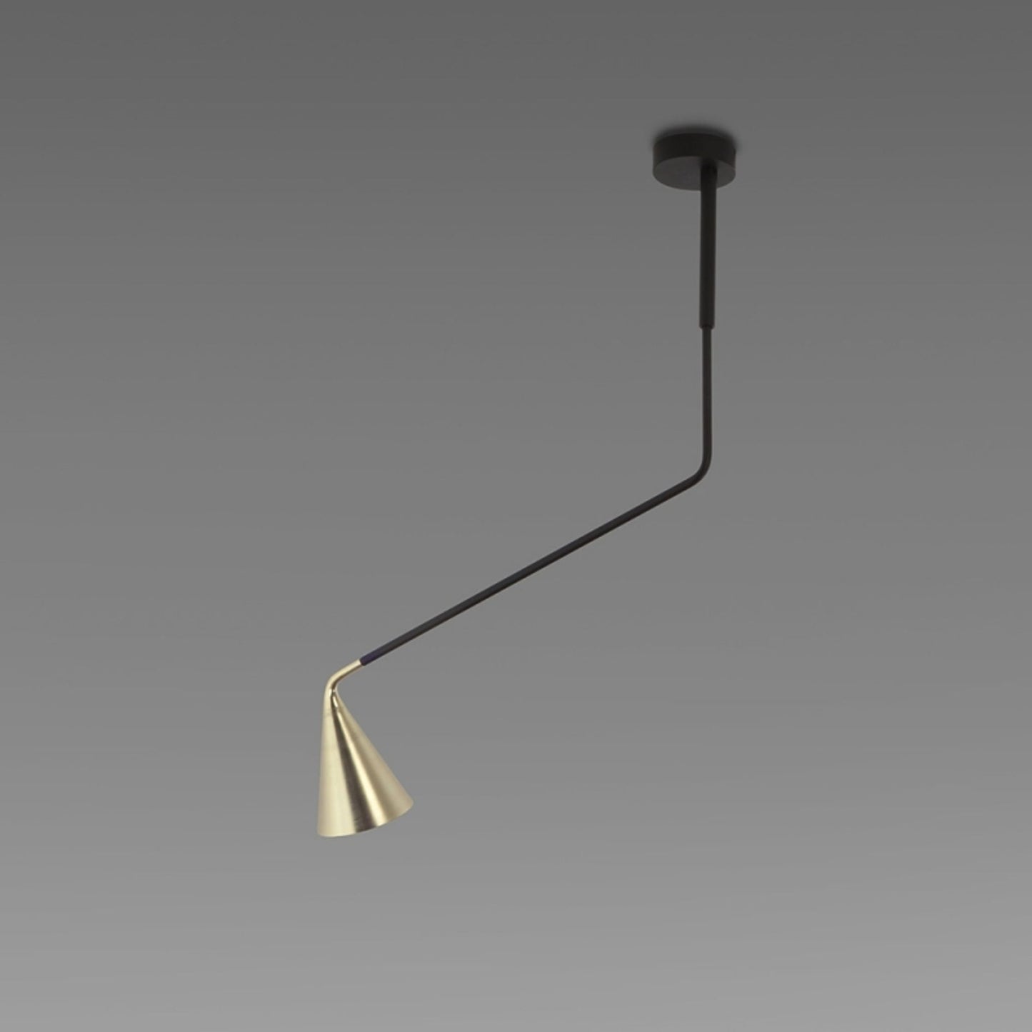 Gordon 11B Ceiling Light with Adjustable Arm