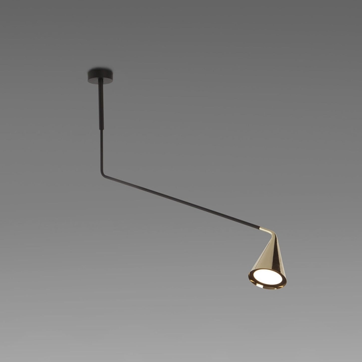 Gordon 11C Ceiling Light with Adjustable Arm