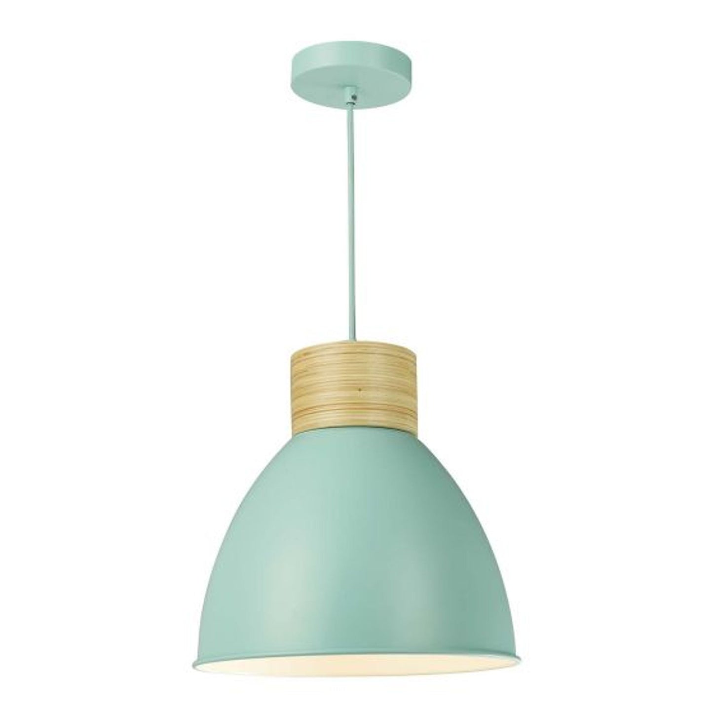 Adna 1-Light Pendant with Wood Detail