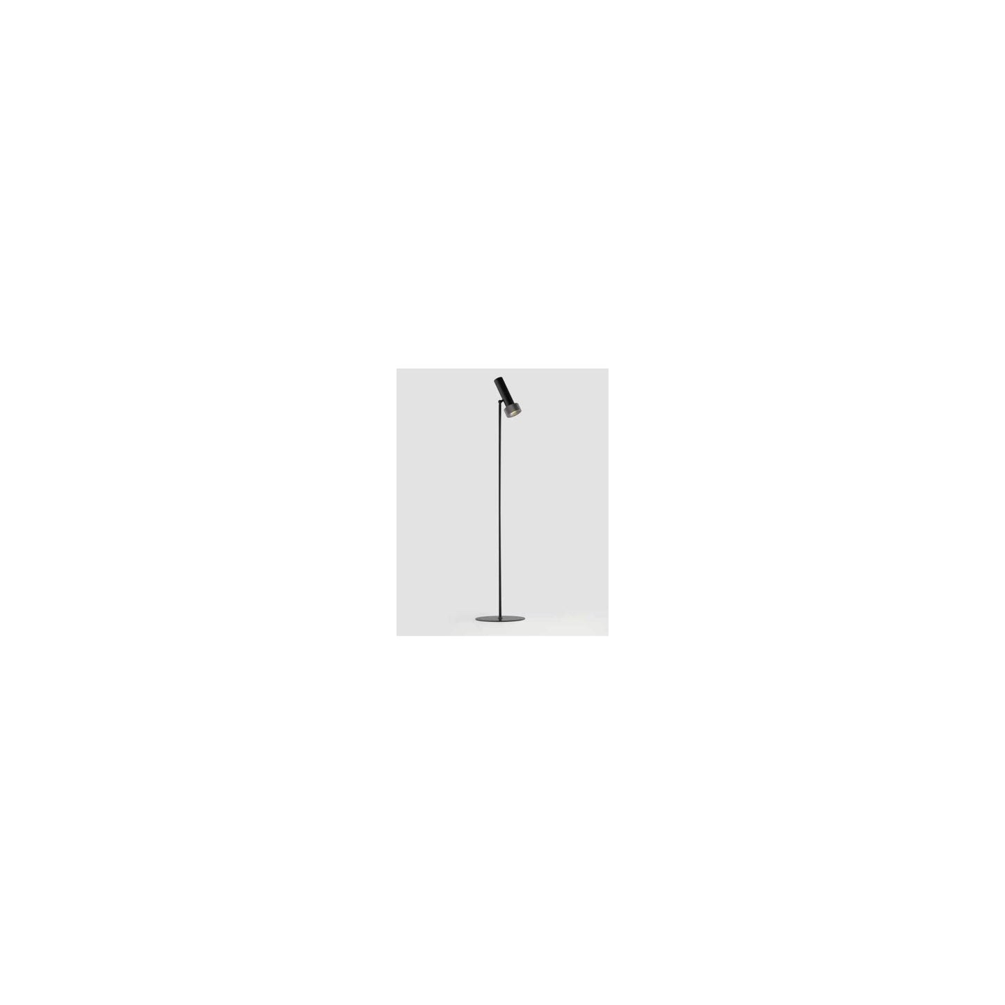 Focus LED Floor Lamp with Adjustable Head