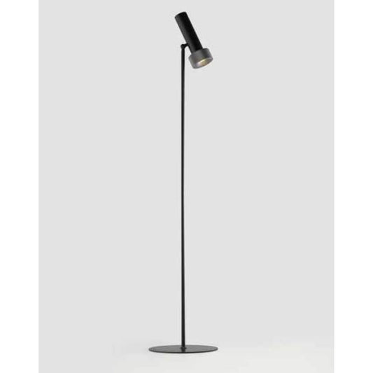 Focus LED Floor Lamp with Adjustable Head