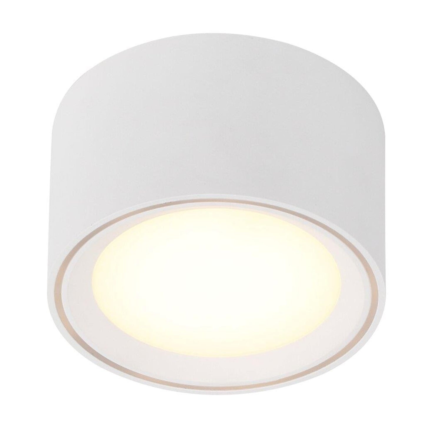 Fallon LED Ceiling Light