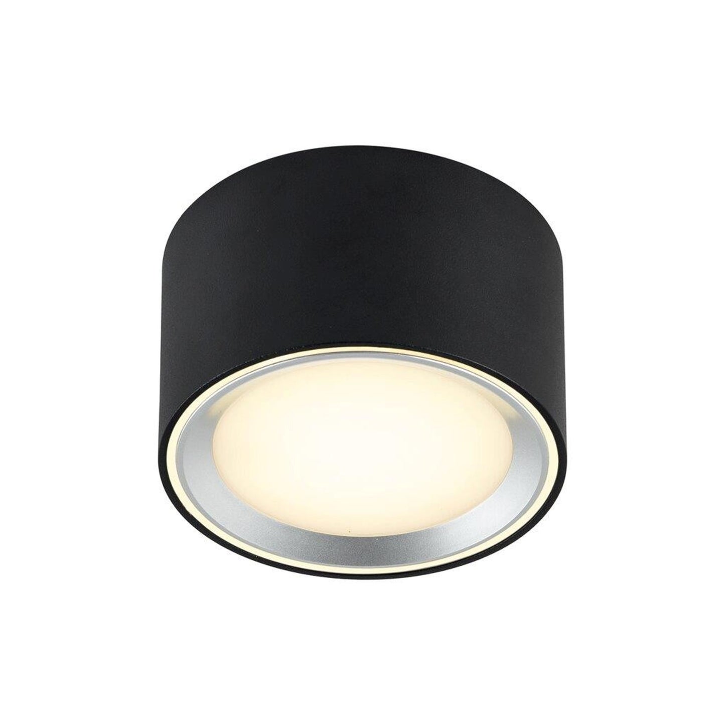 Fallon LED Ceiling Light