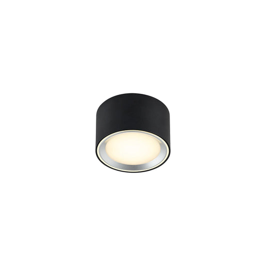 Fallon LED Ceiling Light