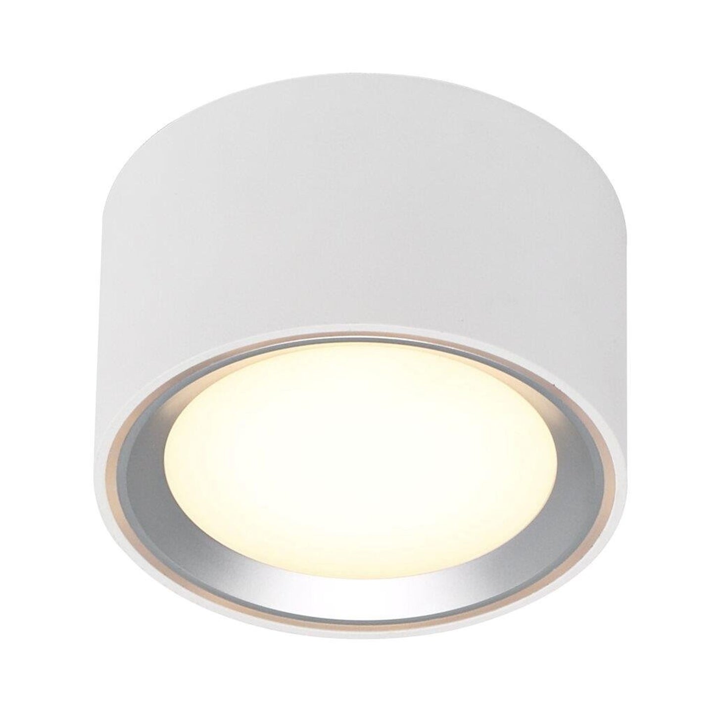 Fallon LED Ceiling Light