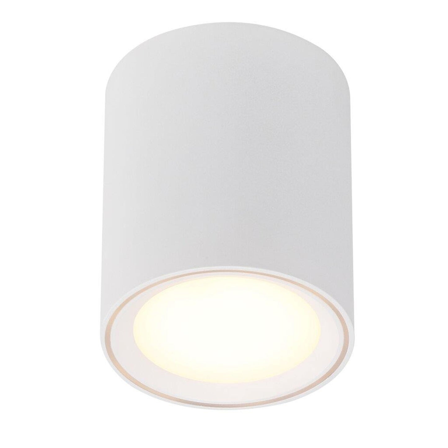 Fallon Long LED Ceiling Light