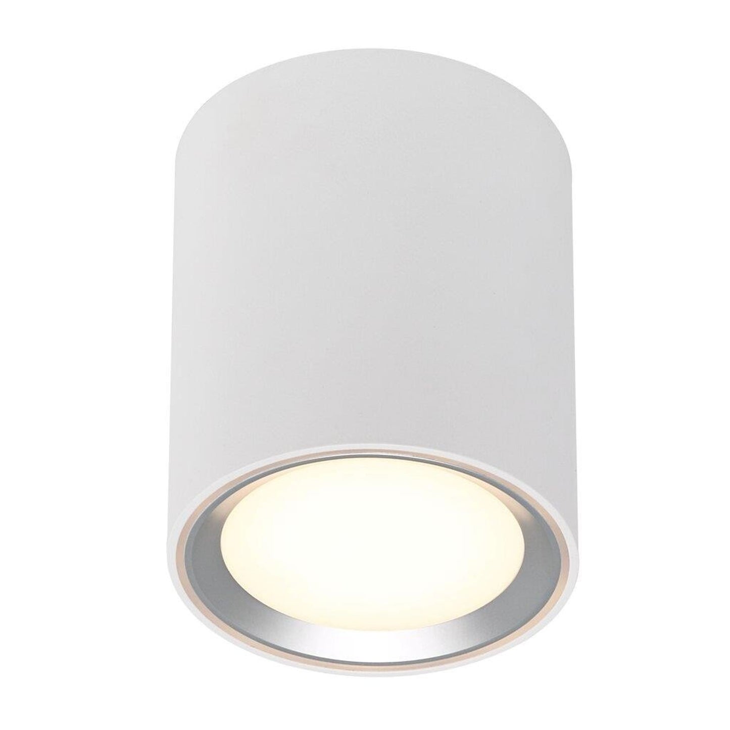 Fallon Long LED Ceiling Light