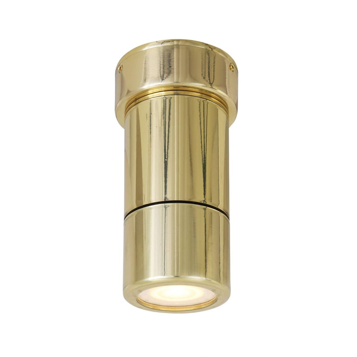 Ennis Brass Spot Ceiling Light