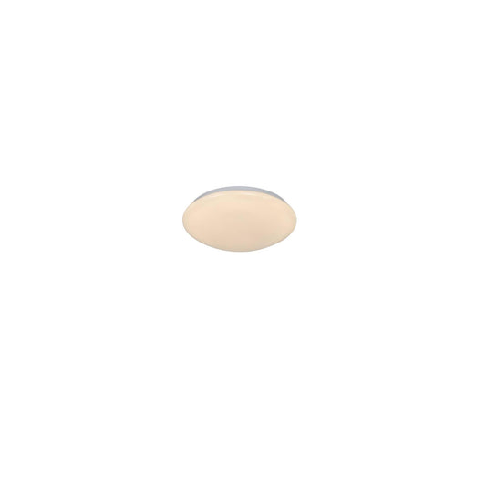 Montone 33 LED Ceiling Light White IP44