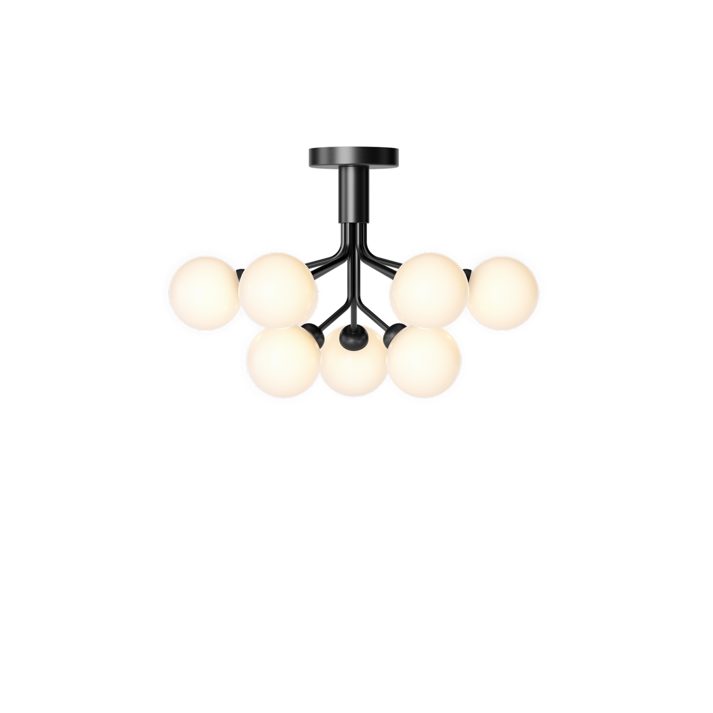 Apiales 9 Ceiling Light