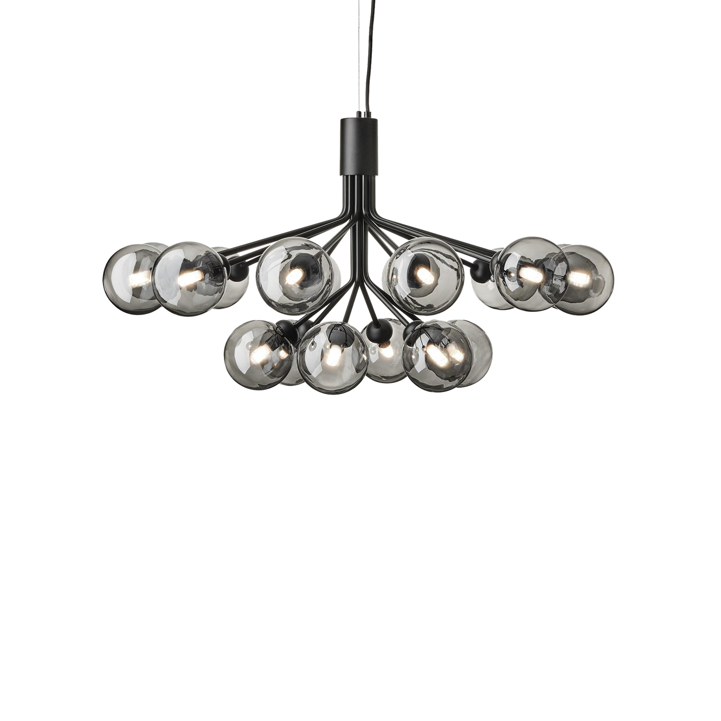 Apiales 18-Light Chandelier with Glass Shade