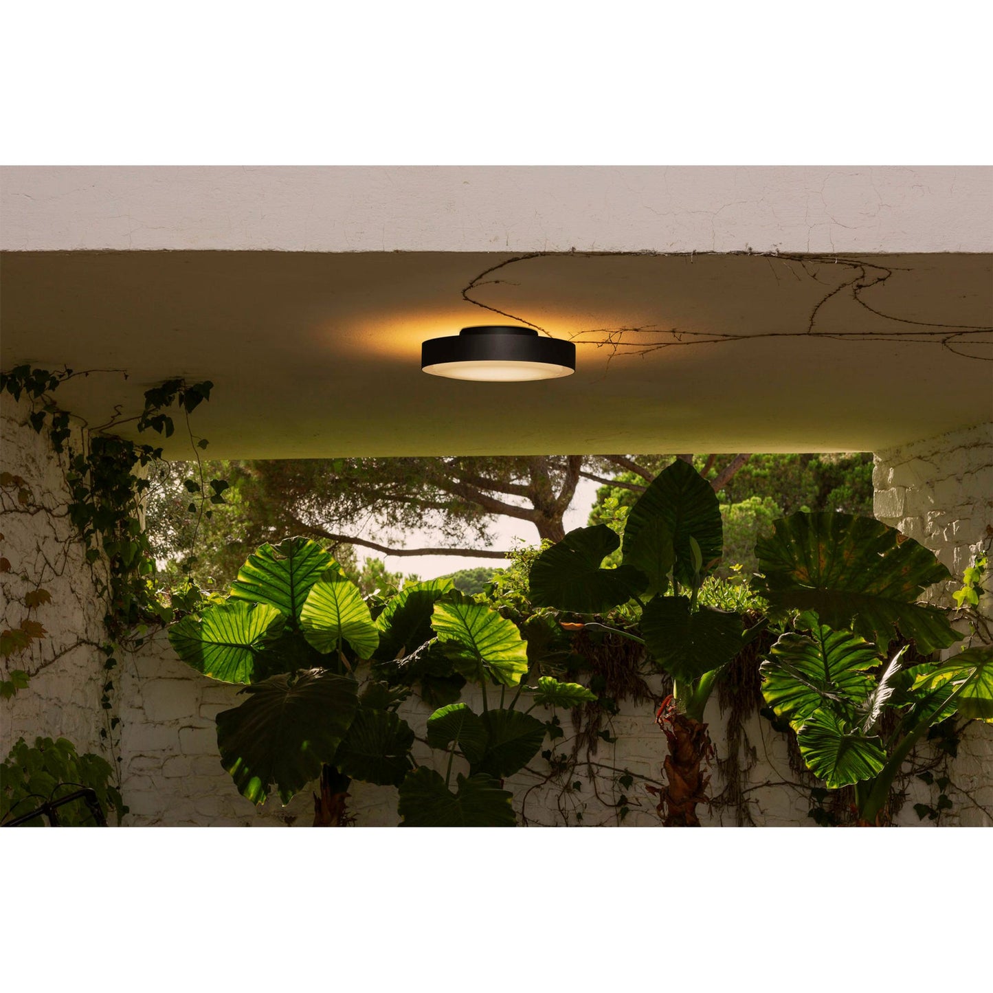 Plaff-On! 33 Outdoor Ceiling Light Black IP54