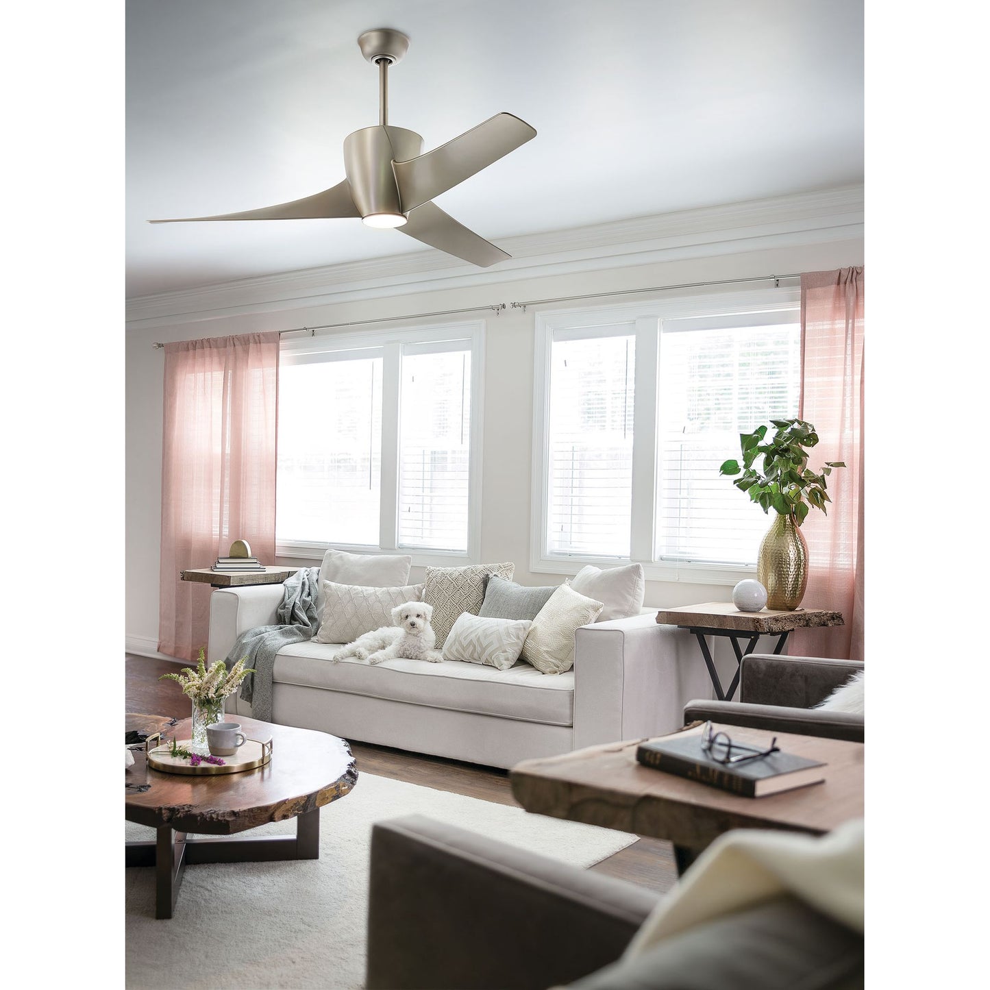 Phree Ceiling Fan & Light