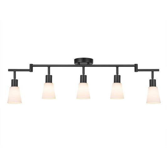 Cole 5-Rail Ceiling Light Black