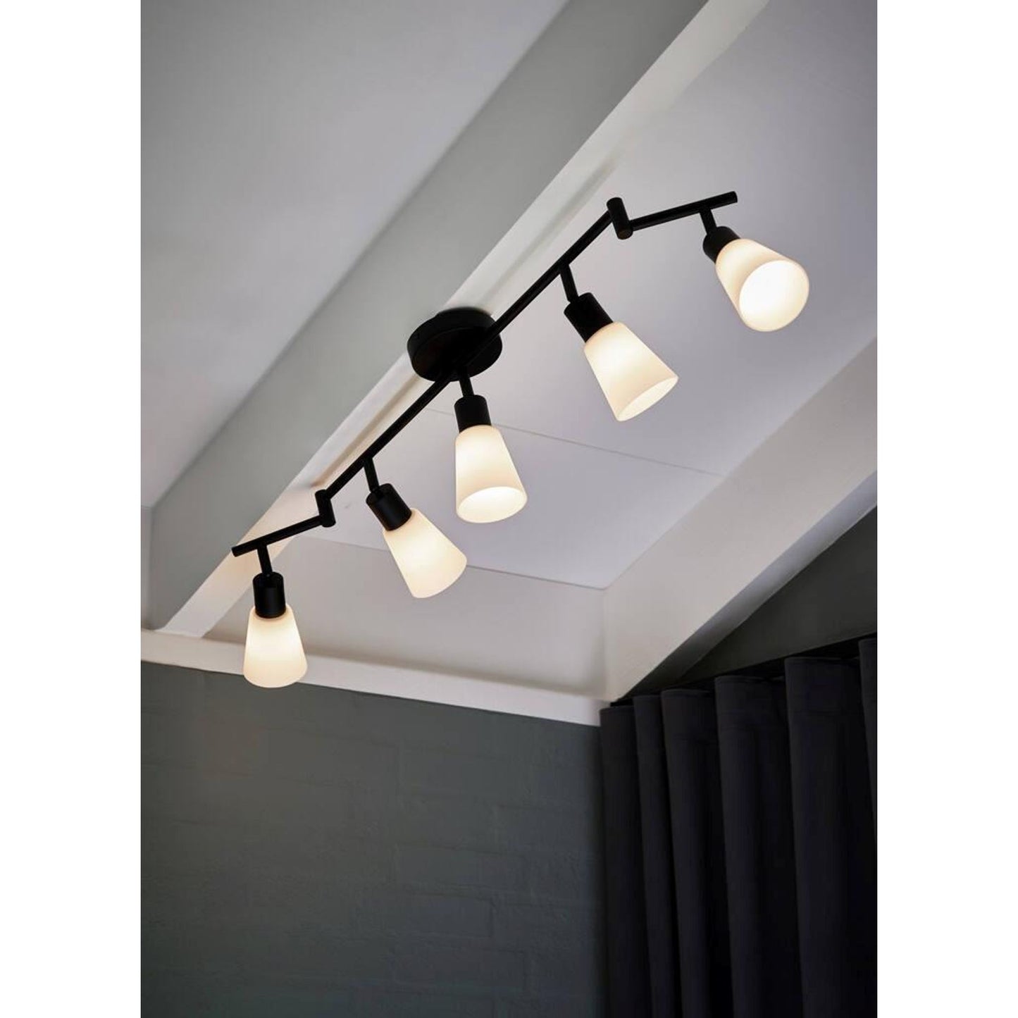 Cole 5-Rail Ceiling Light Black