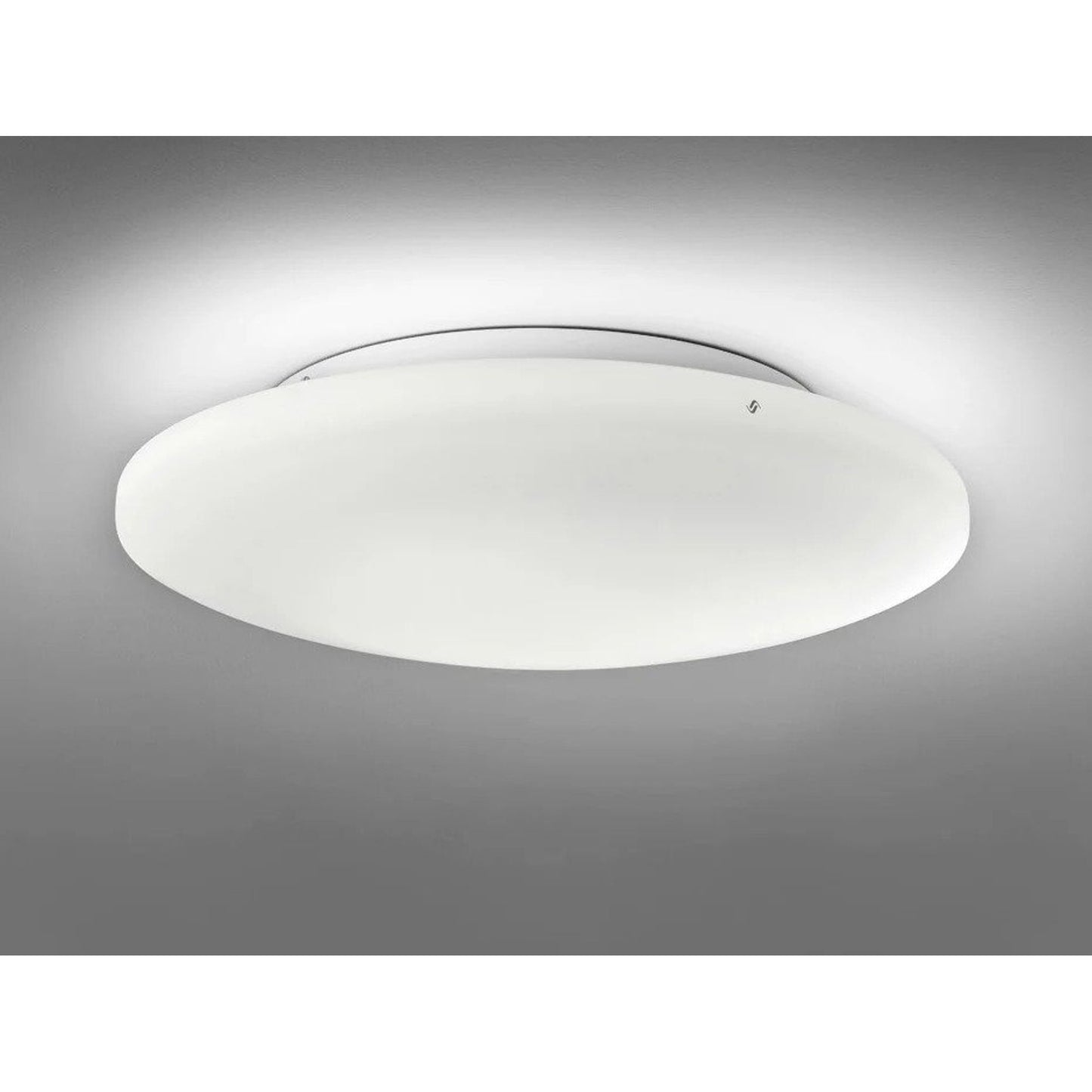 Lio PP 50 Ceiling/Wall Light