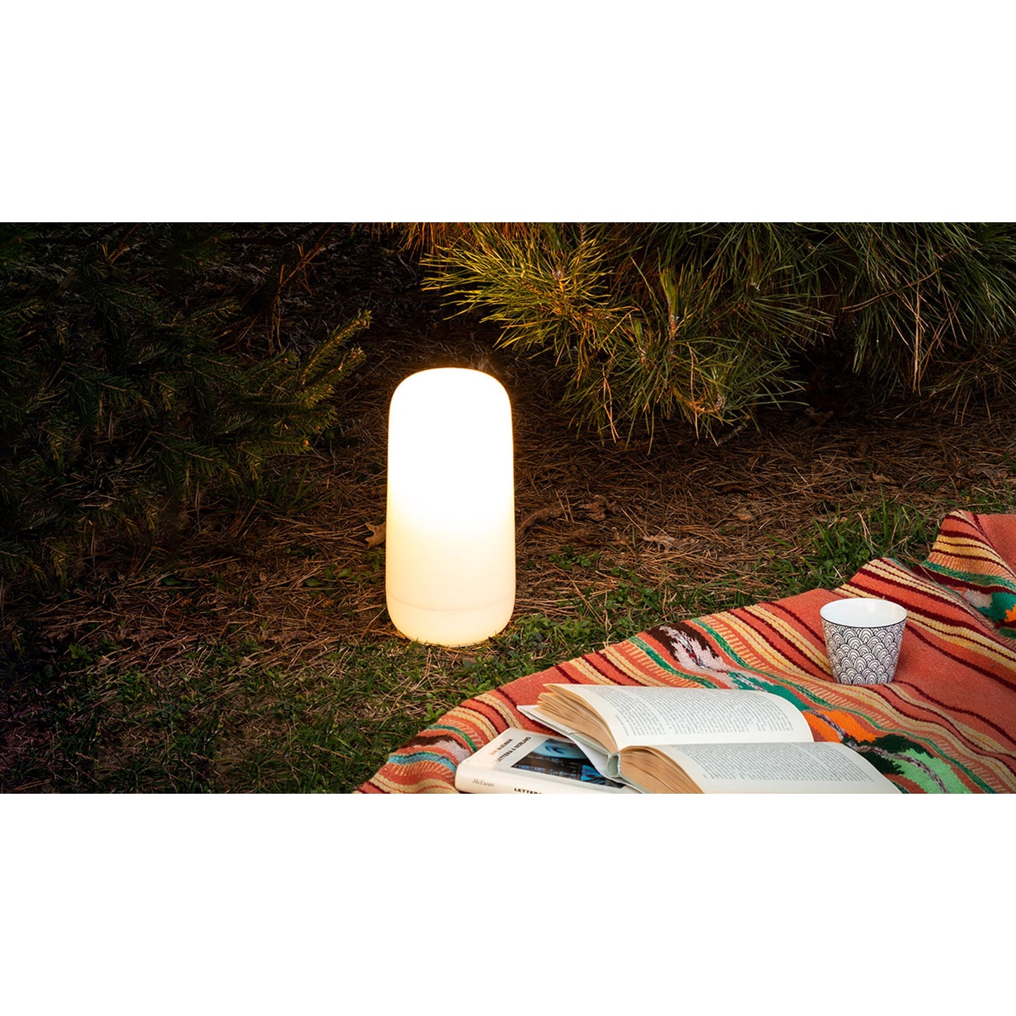 Gople Plug LED Table Lamp with White Diffuser