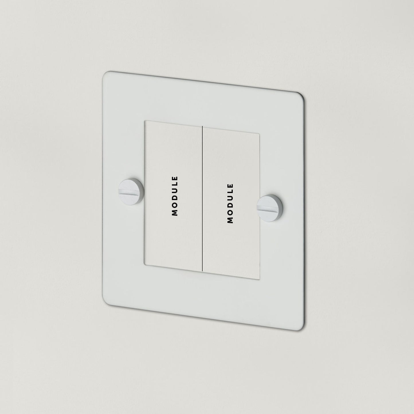 1G Euro Plate 2  Module