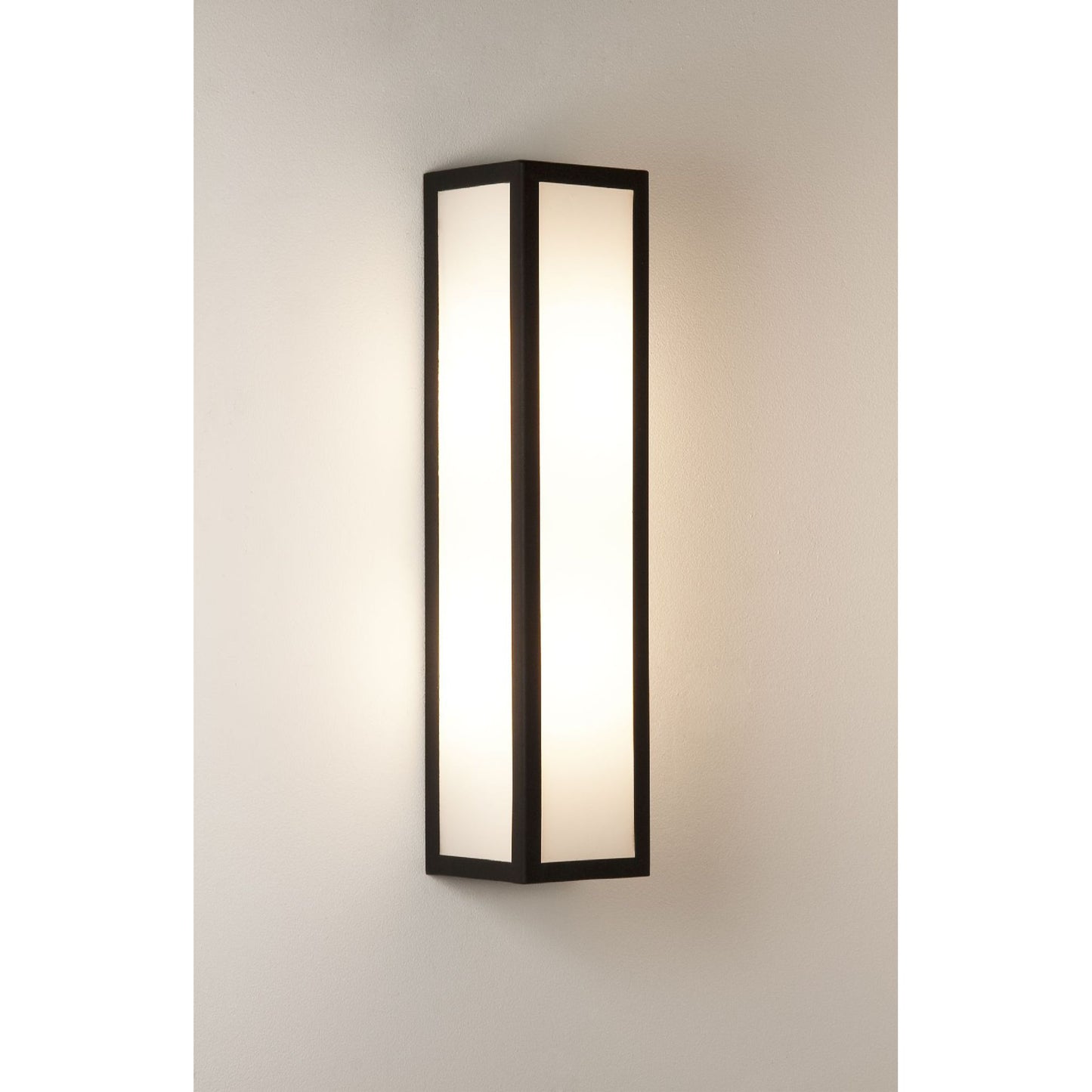 Salerno Exterior Wall Light with Opal Glass