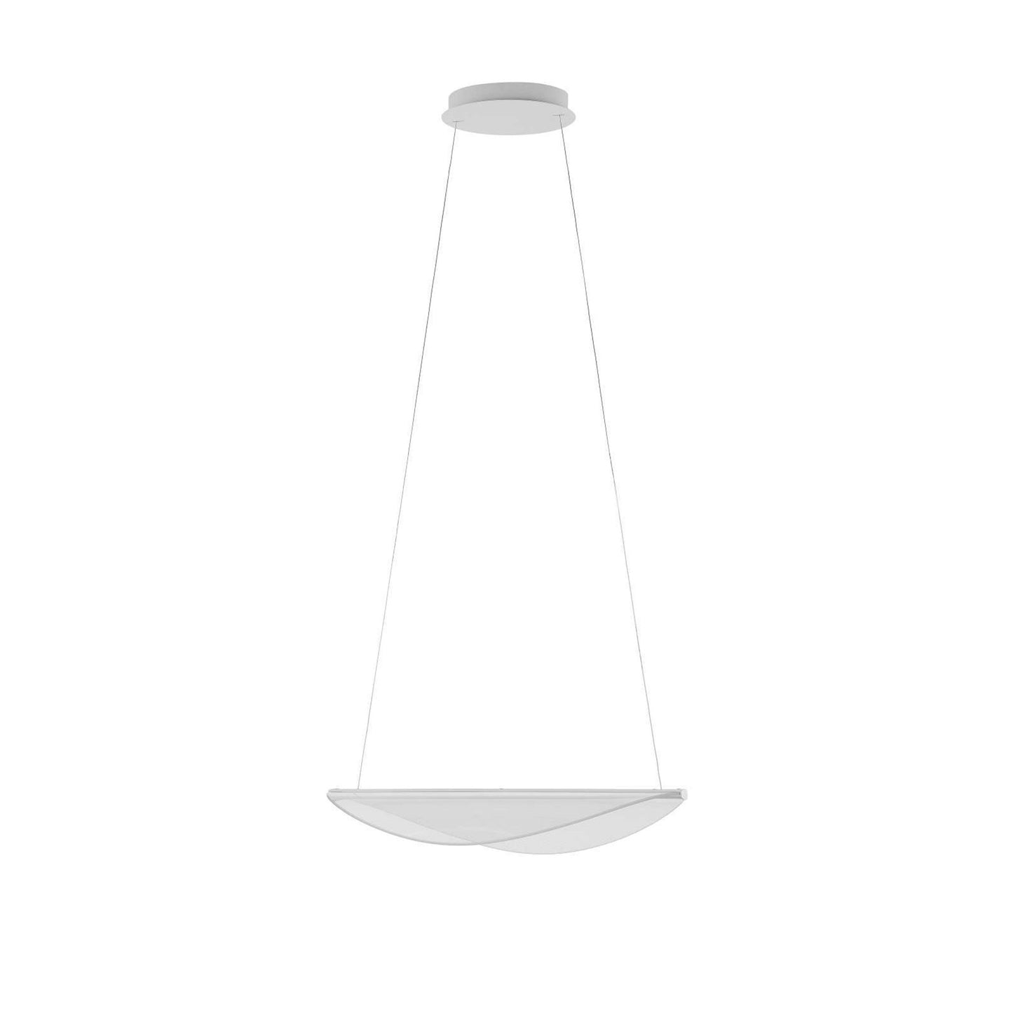 Diphy LED Pendant in White