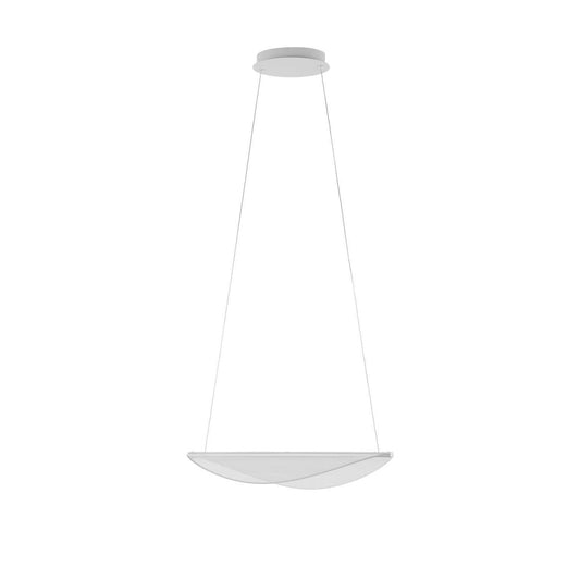 Diphy LED Pendant in White