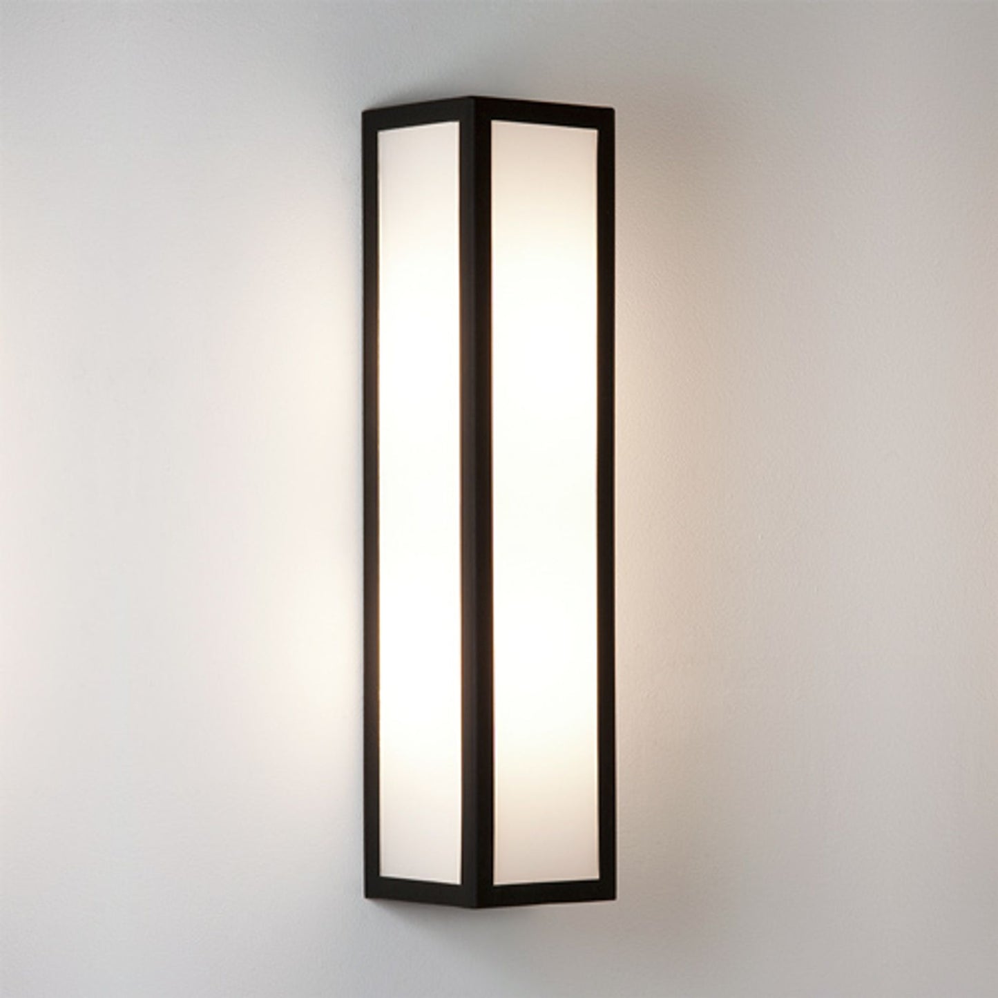 Salerno Exterior Wall Light with Opal Glass