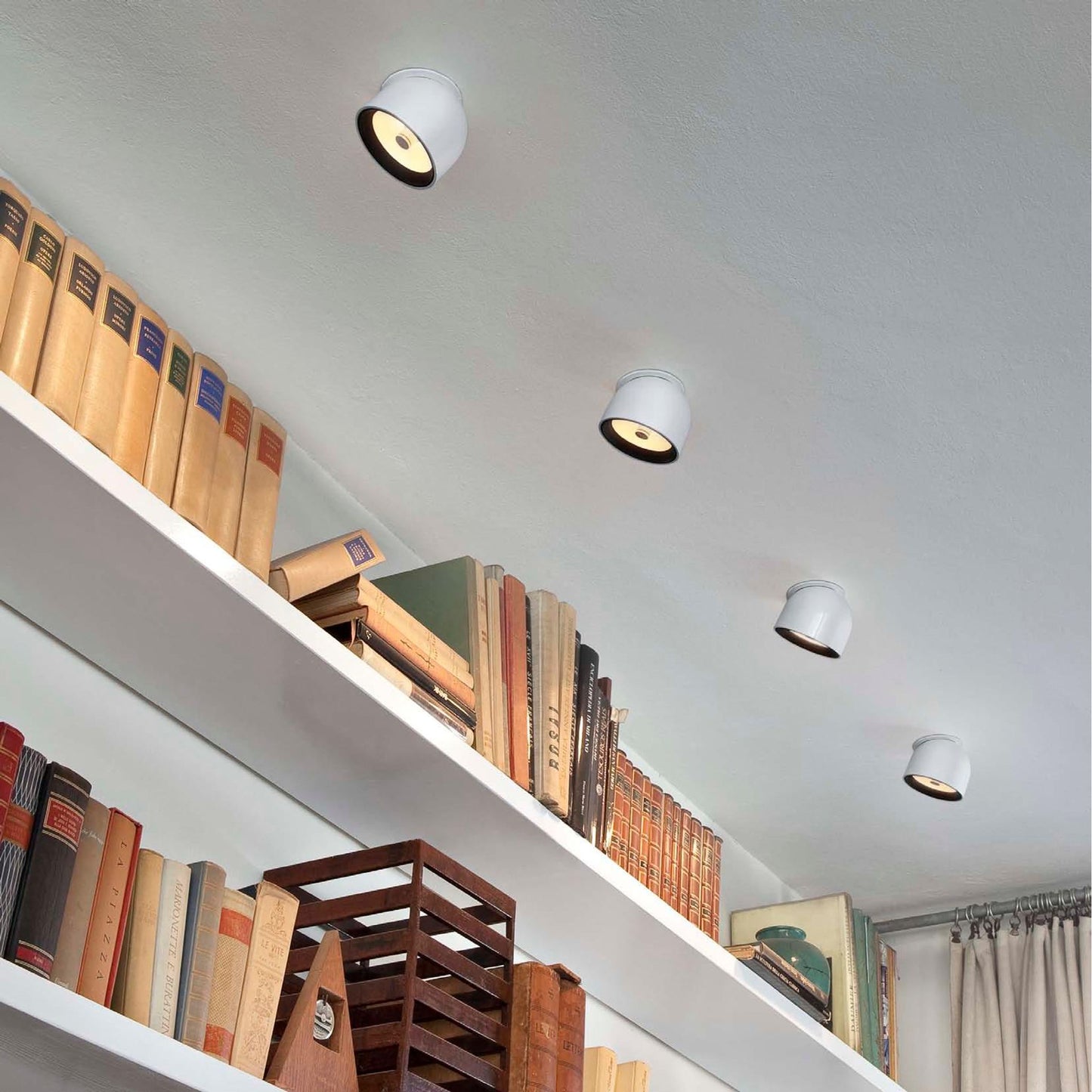 Wan Ceiling or Wall Light