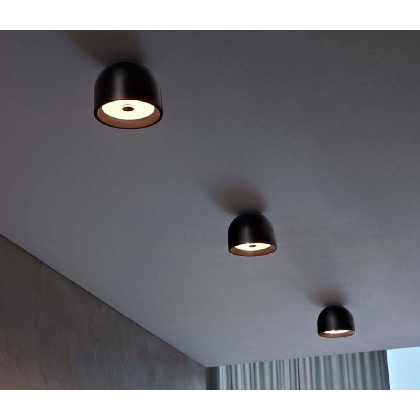 Wan Ceiling or Wall Light