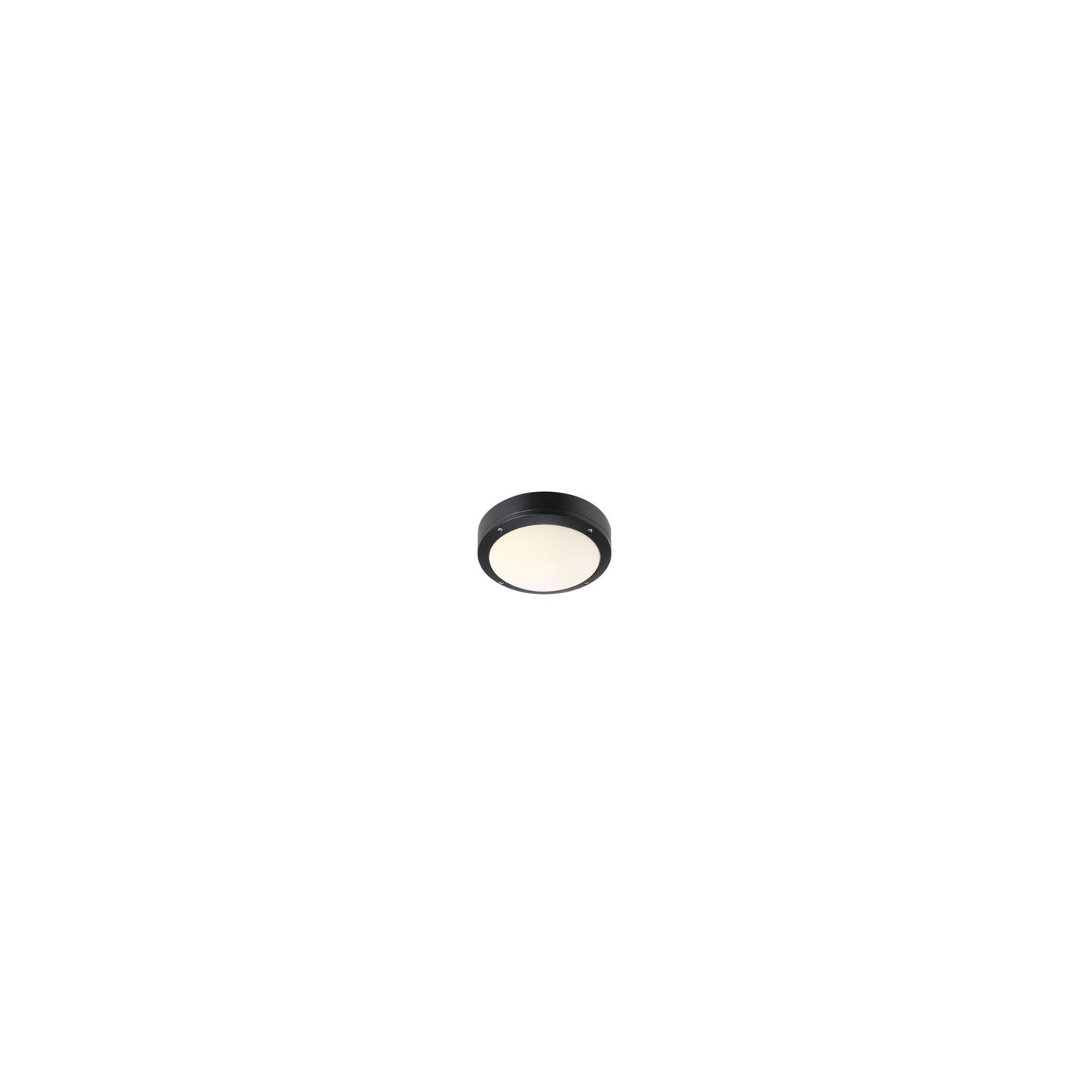 Desi 22 Outdoor Ceiling Light