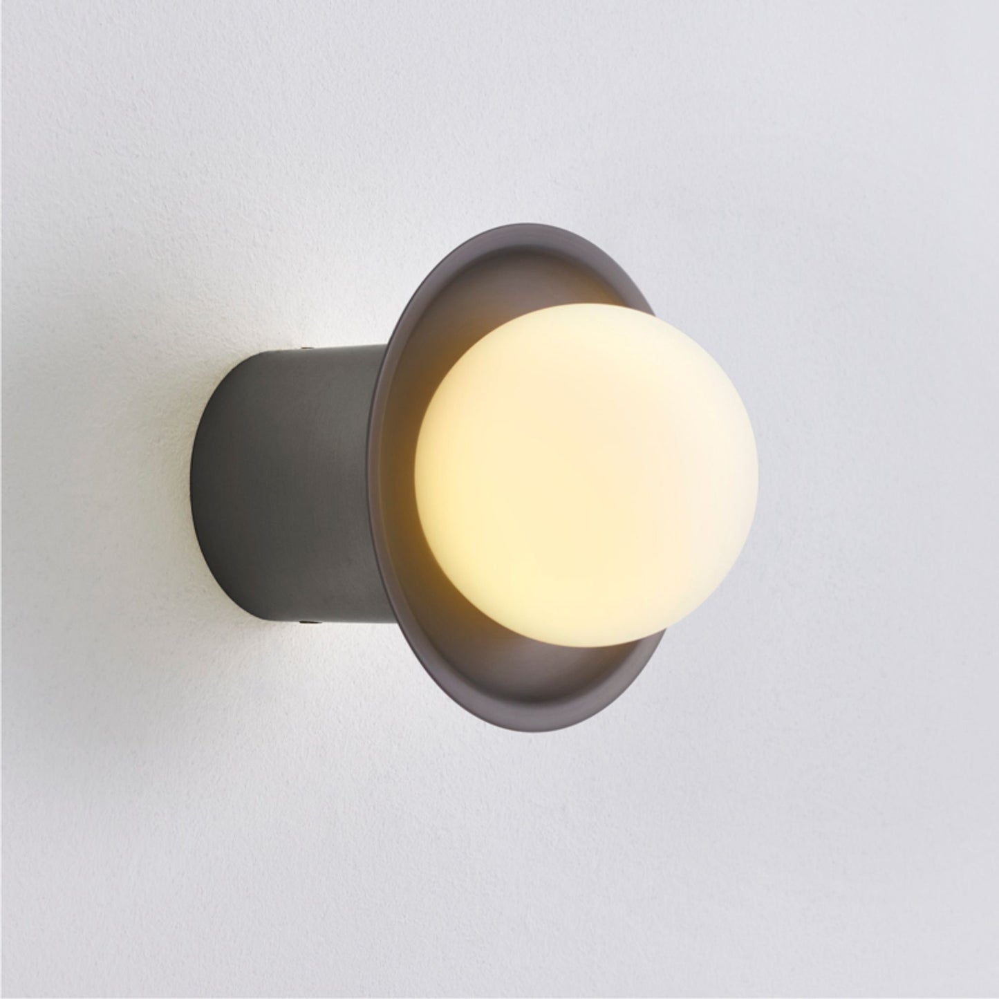 Janed Wall Mounted Light