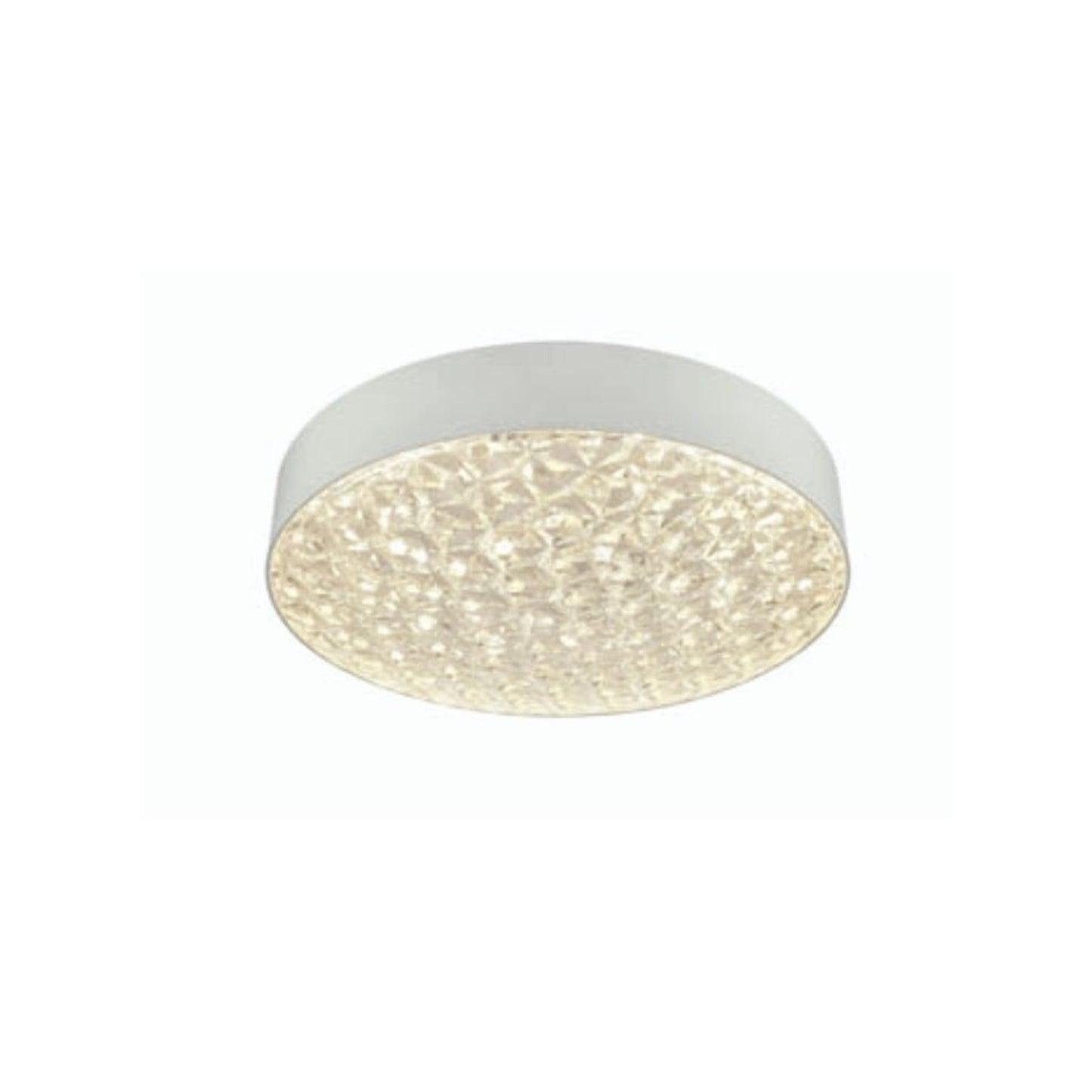 LED Polycarbonate Ceiling Light IP44 in White