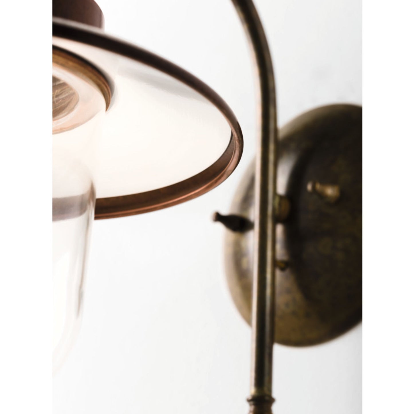 Calmaggiore Outdoor Wall Light in Antique Brass and Antique Copper