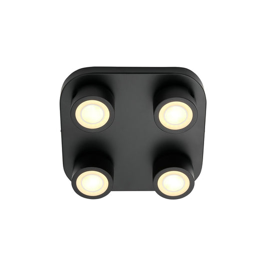 Clyde 4-Spot Ceiling Light in Black