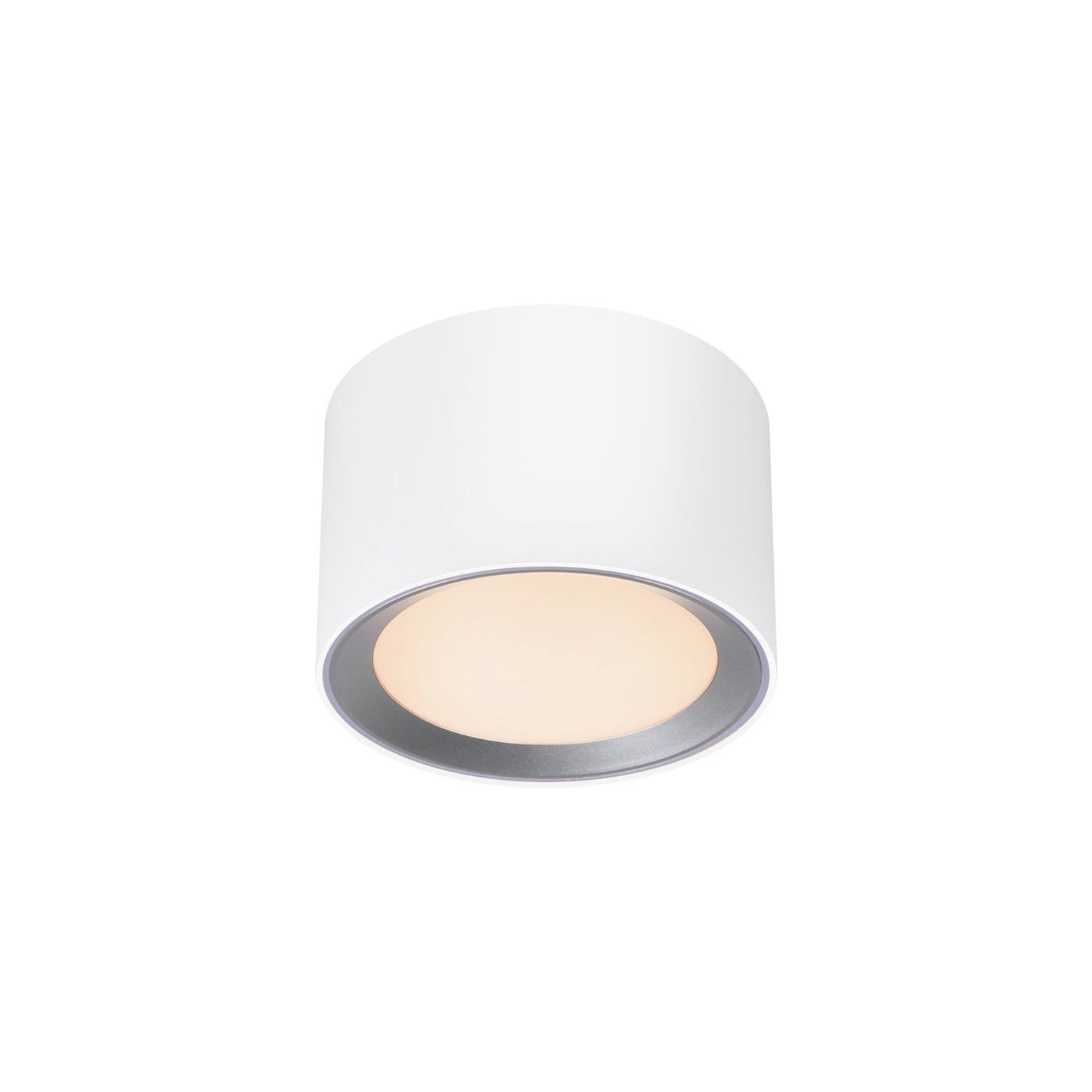 Landon Bathroom Surface Downlight