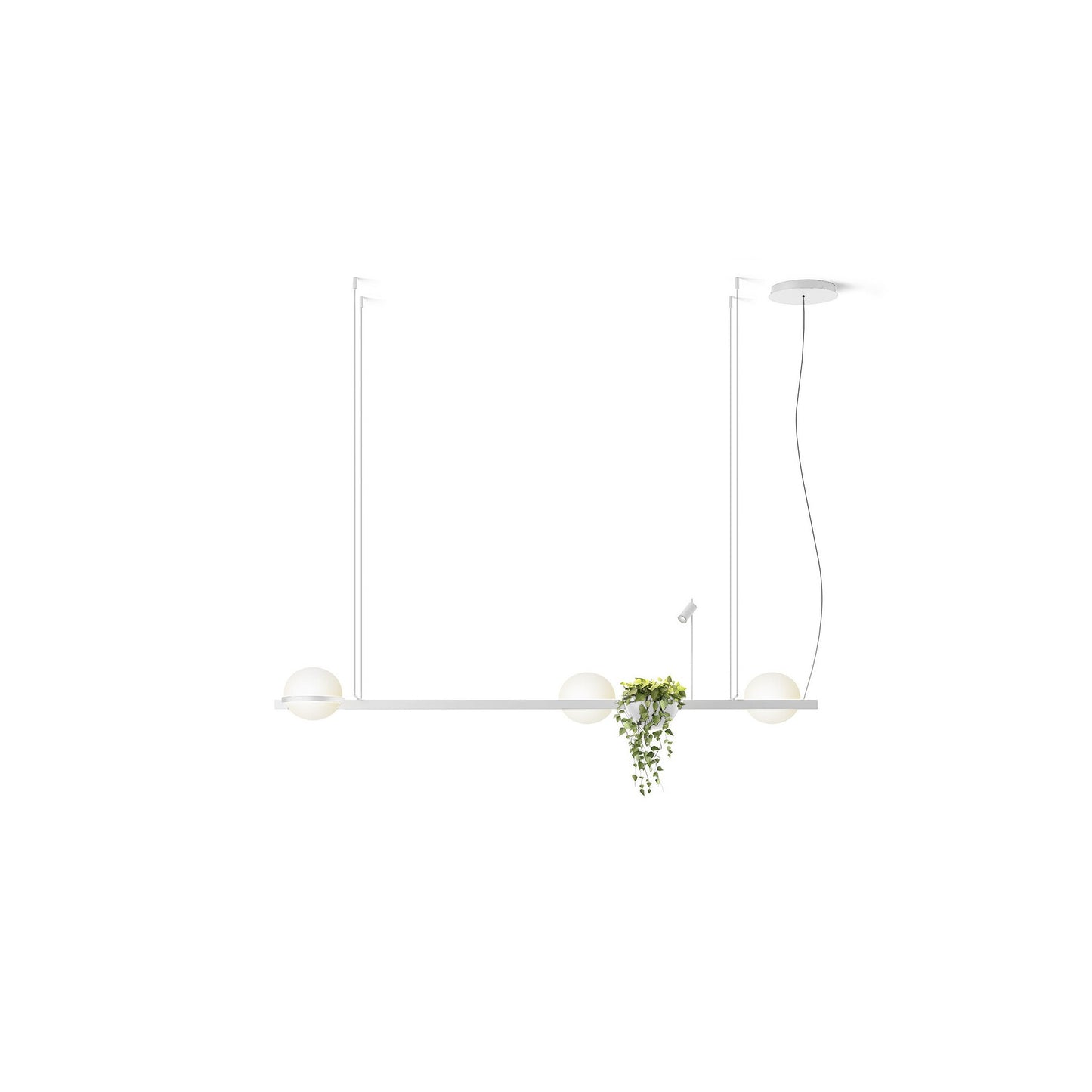 Palma 3736 6-Light Horizontal Pendant