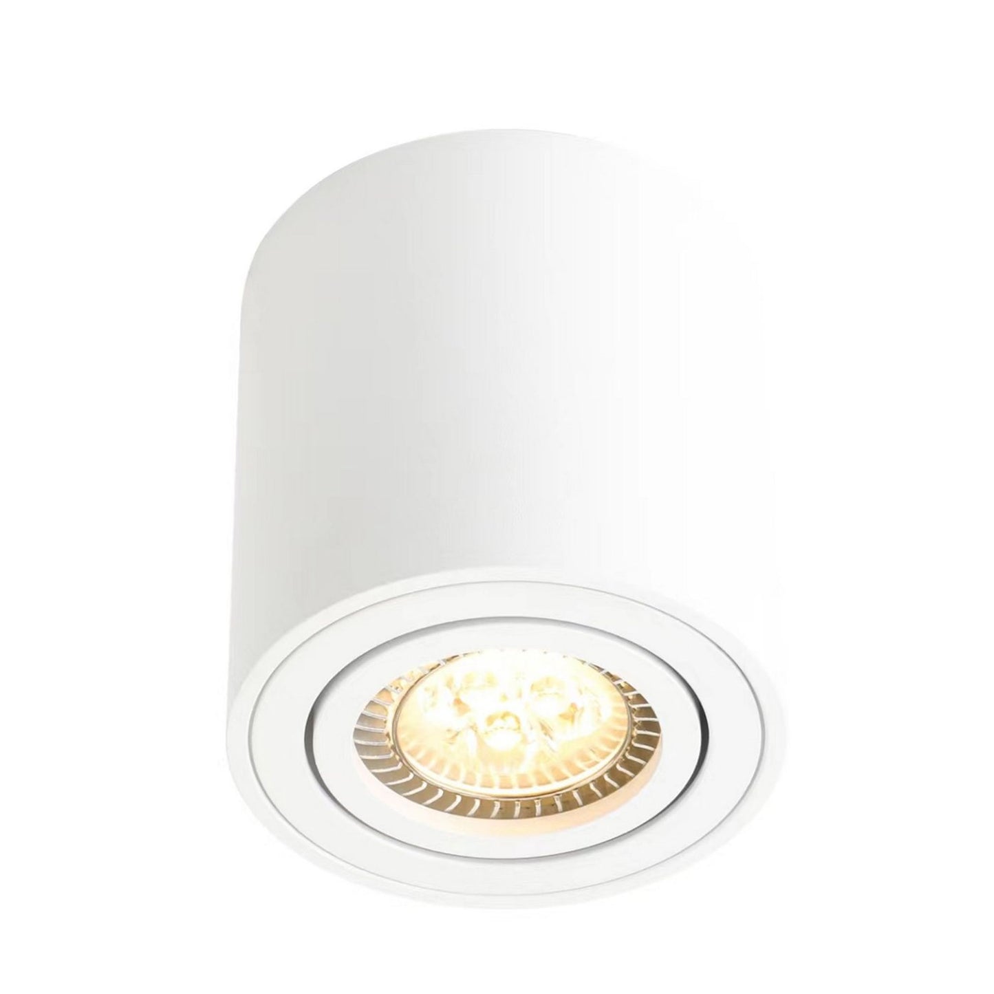 Sabonis Surface Downlight