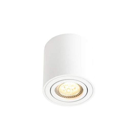 Sabonis Surface Downlight