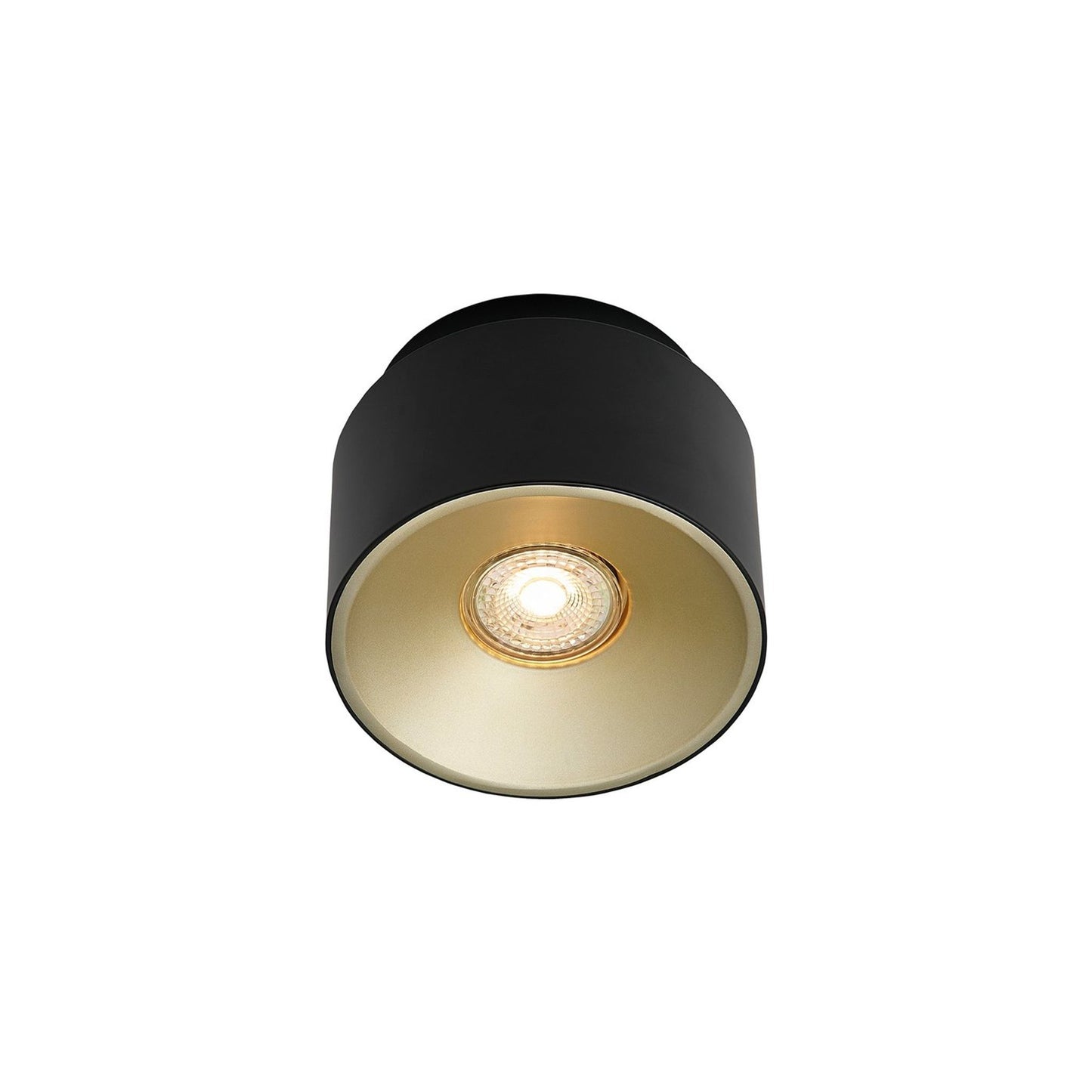 Torone Ceiling Spot Light in Black