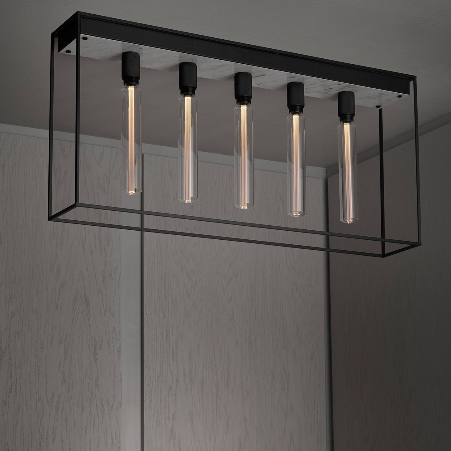 Caged 5.0 Ceiling Light